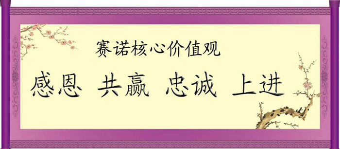 賽諾核心價值