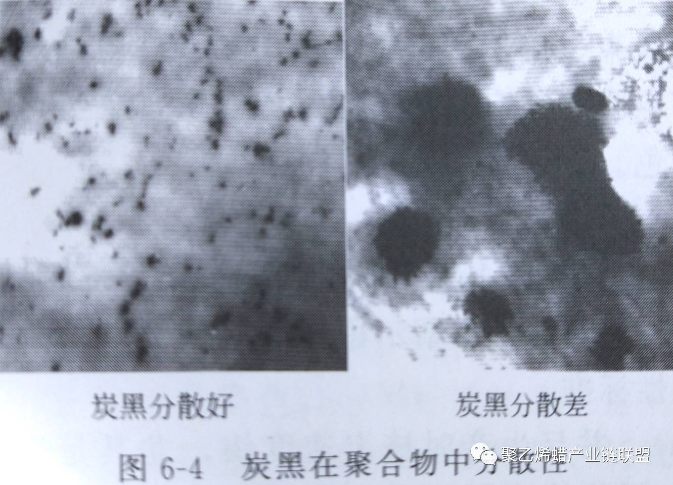 青島賽諾